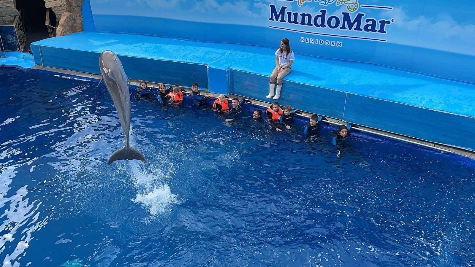 9cad3049 78d5 4e22 9ab3 D864ffed3a52