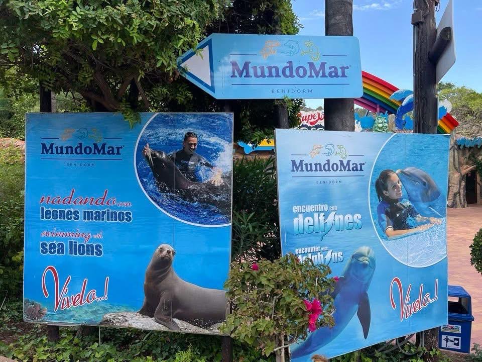 Benidorm Apartman - San Remo 9d2cd7be 745f 4683 95bb Dce94c72e7e9